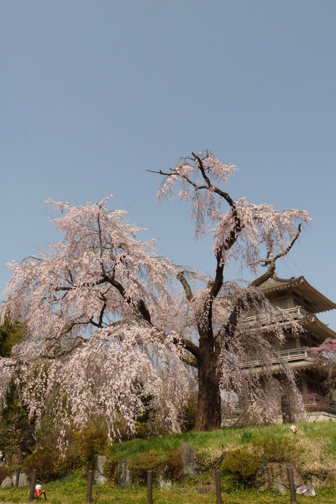 浄専寺