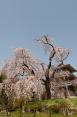 浄専寺