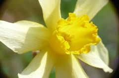 P1050808