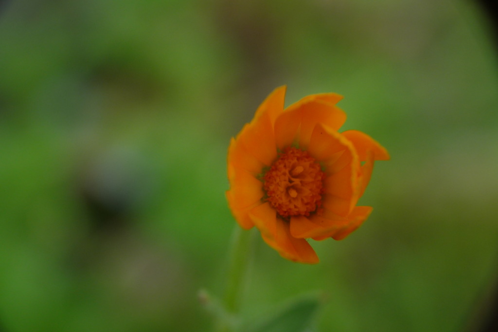 P1050802
