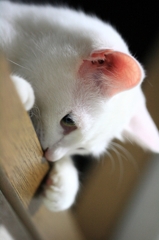 なんだろう？