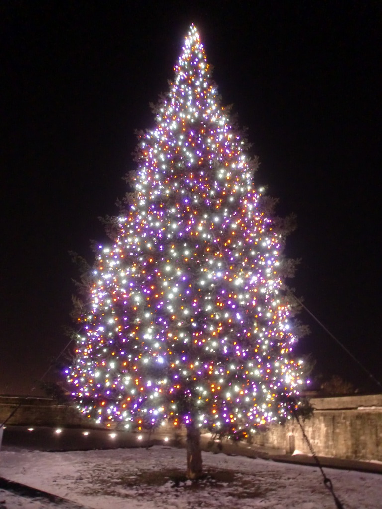 Candy Tree
