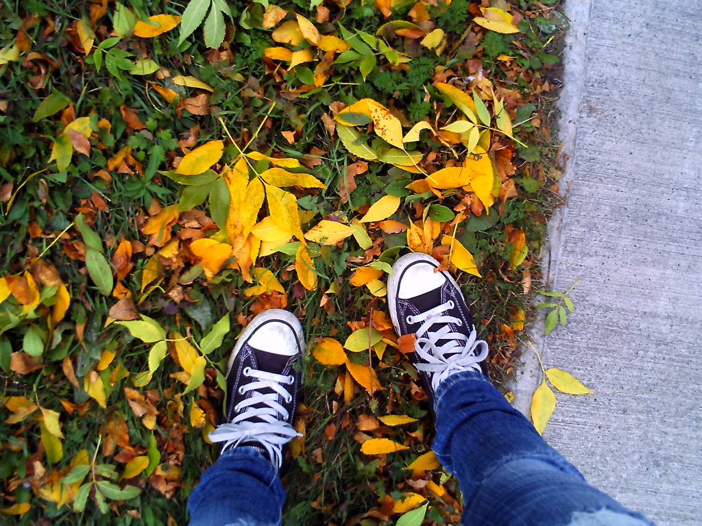 leaves
