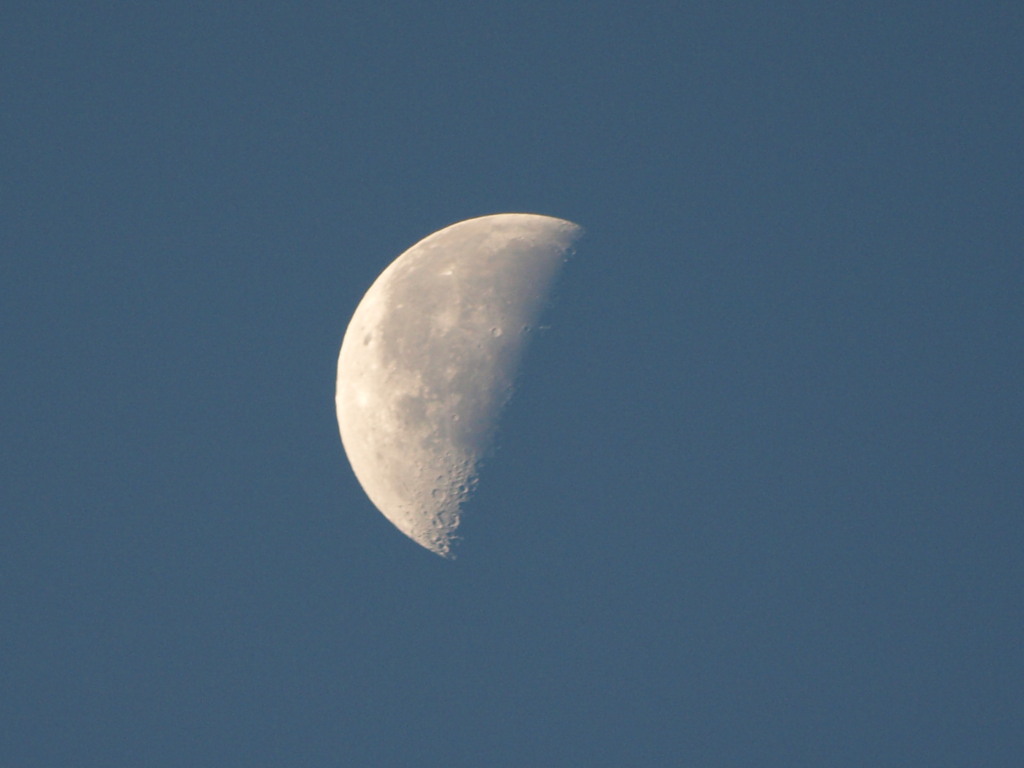 P814640002