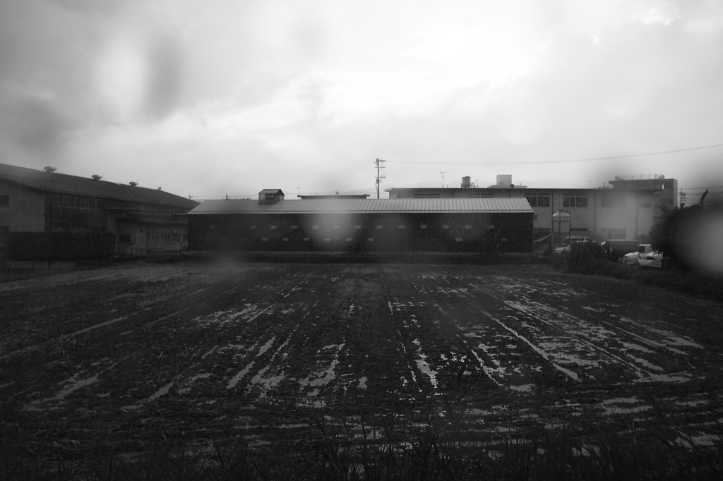 雨の中