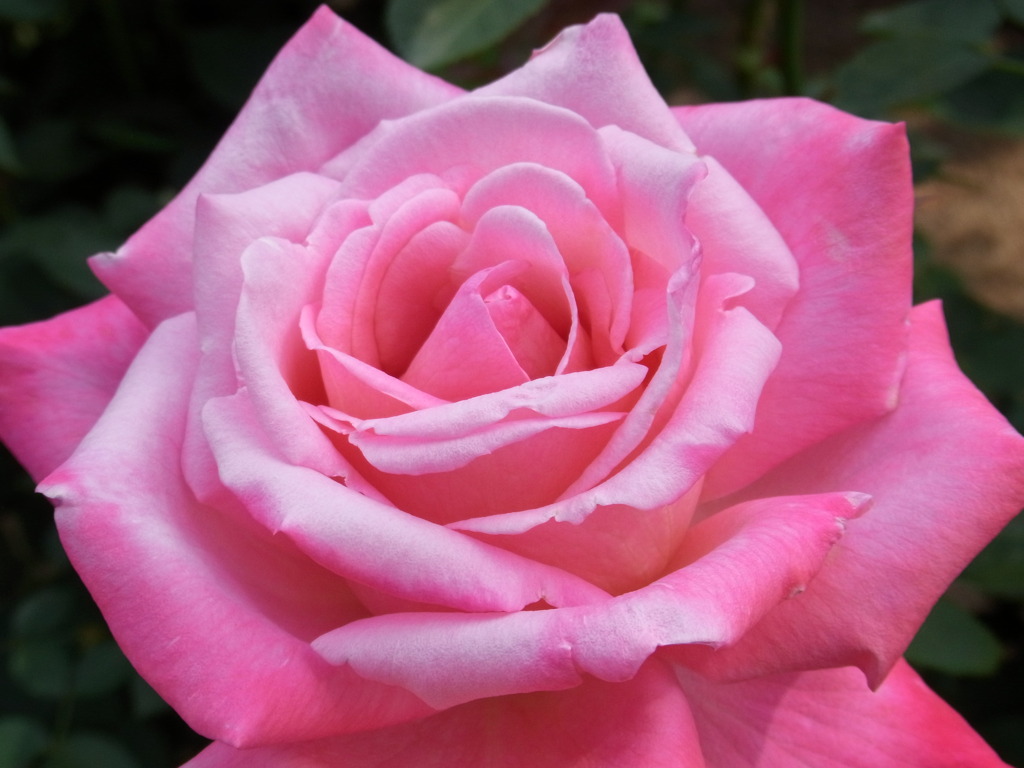 R0010408