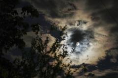 look up