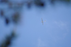 airplane