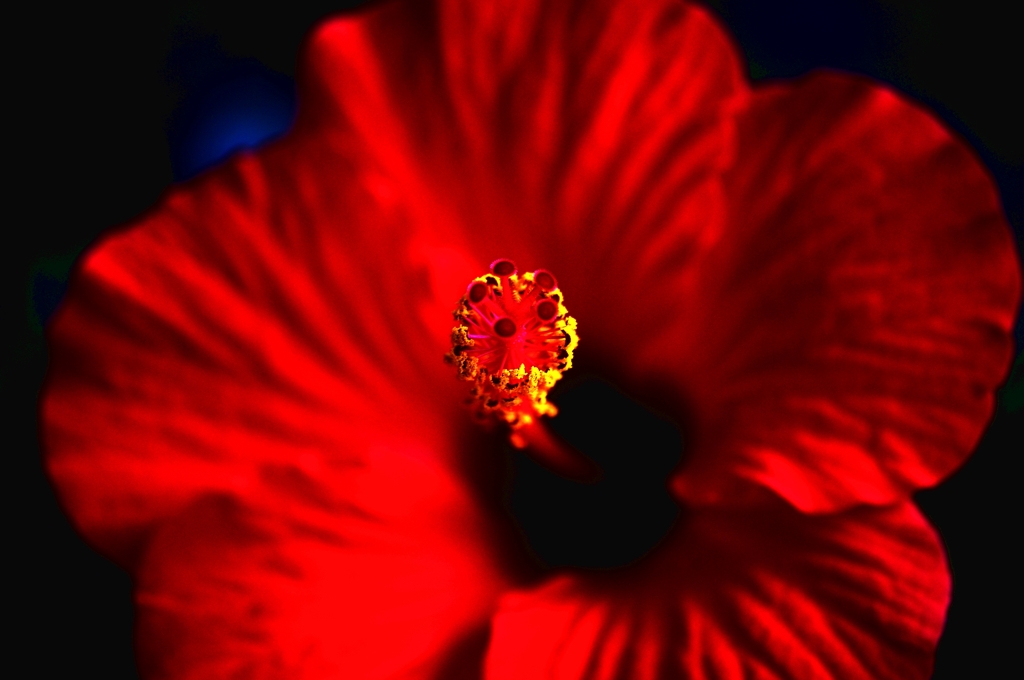 Rouge