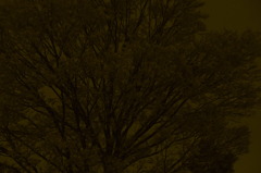 fear of the dark