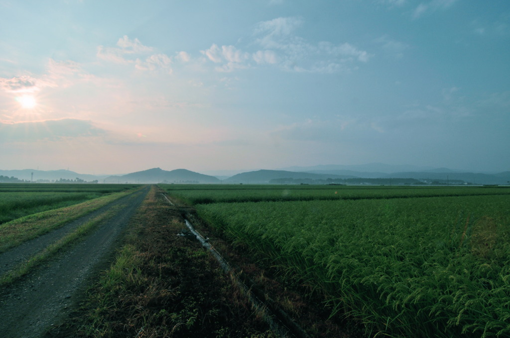 ぼんやりした始まり