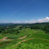 初夏の棚田