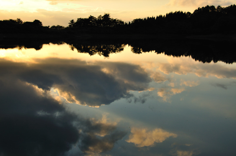 silent sunset