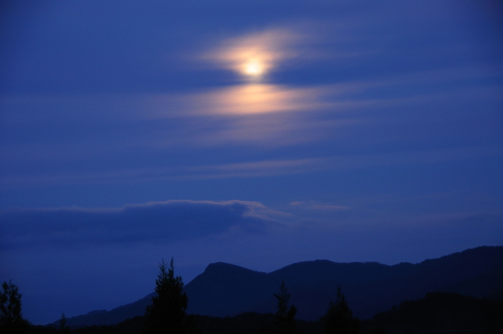 The diffusion of moon