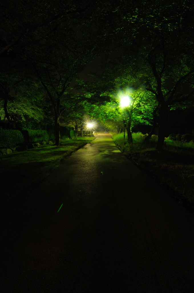夜の散歩