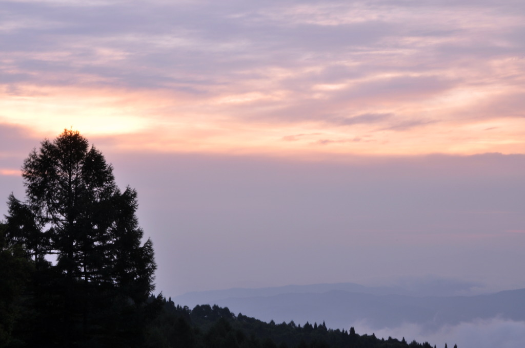 朝と山と木と