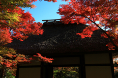 常寂光寺と紅葉