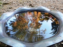 水面の紅葉