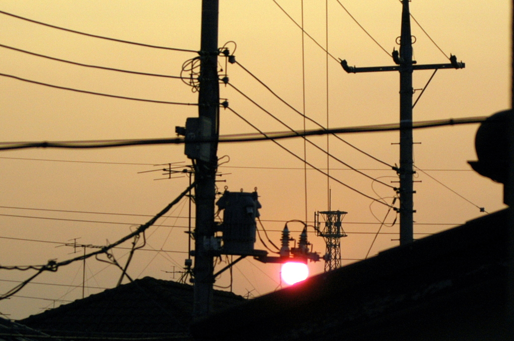 屋根の上に