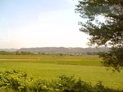 帰宅