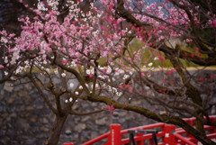 春の庭園