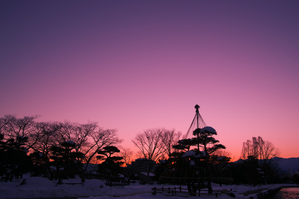 庭園の夕刻