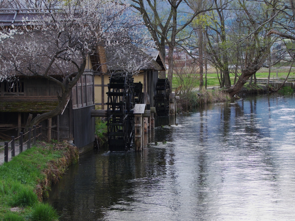 春の安曇野