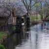 春の安曇野