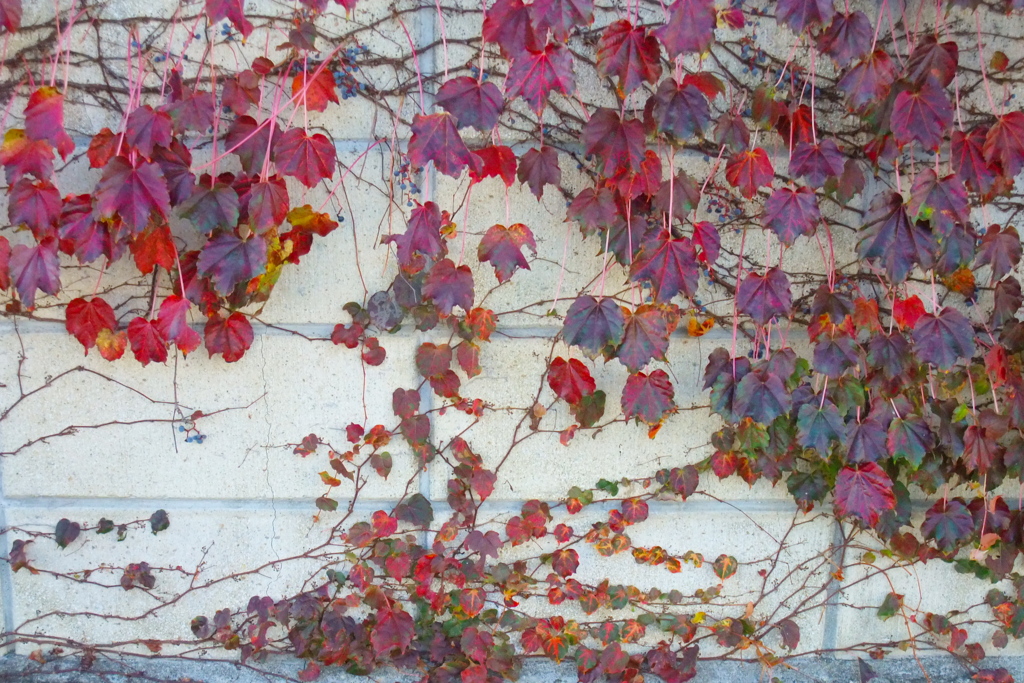 秋の壁画