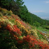 つつじ山からの眺め