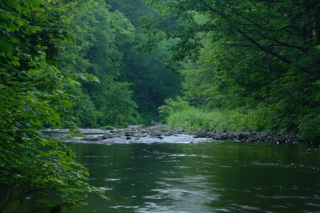 渓谷の深緑