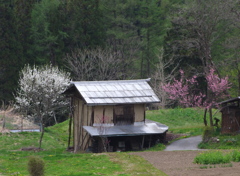 山村の寸景