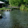 わさび田湧水群