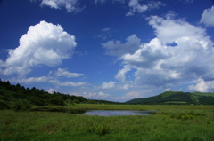 八島湿原