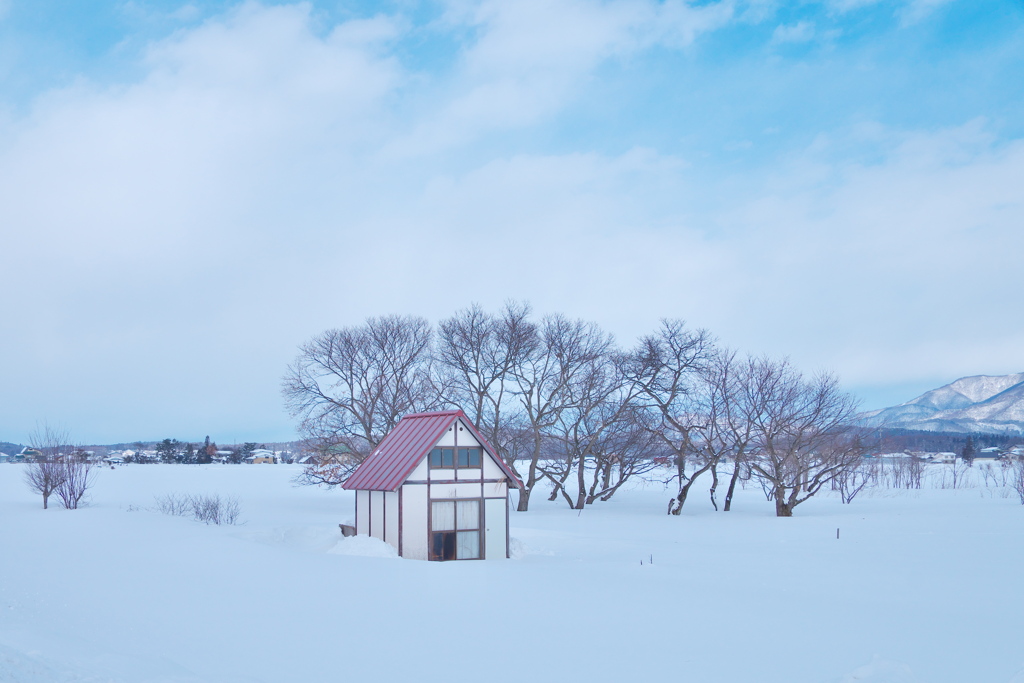 素敵な小屋