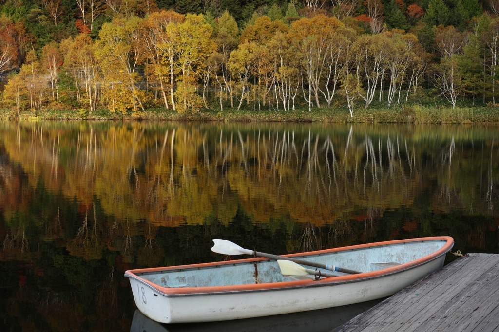 木戸池とボート