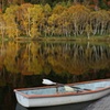 木戸池とボート