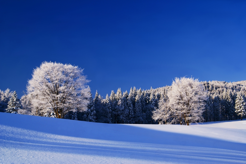 雪晴れの朝