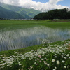 白馬周辺の風景