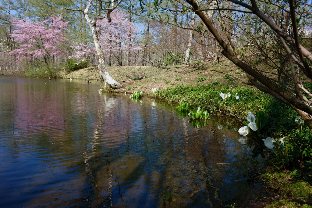 湖畔の旬彩