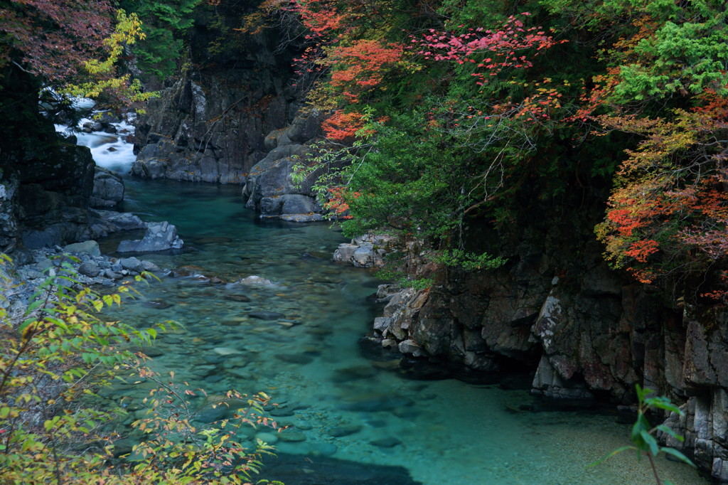 岩場の彩