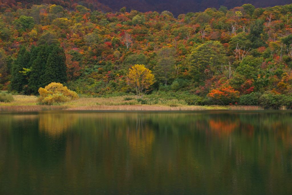 湖畔の紅葉