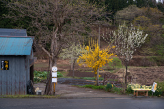 田舎のバス停