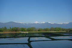 田植え時の安曇野