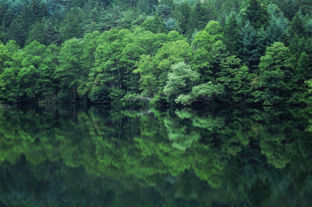 湧き水の池