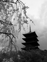 東寺