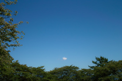 雲一つある空