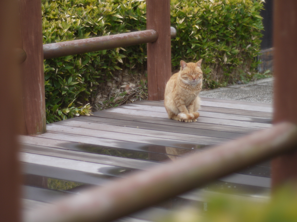 眠い眠い