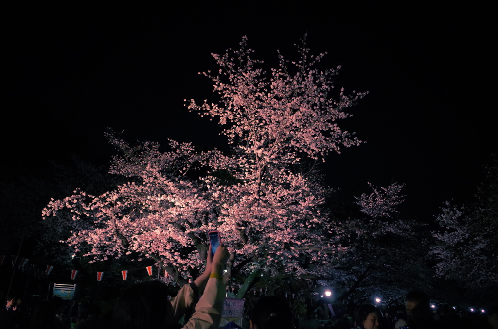 写真撮影