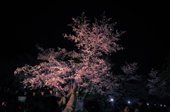 写真撮影